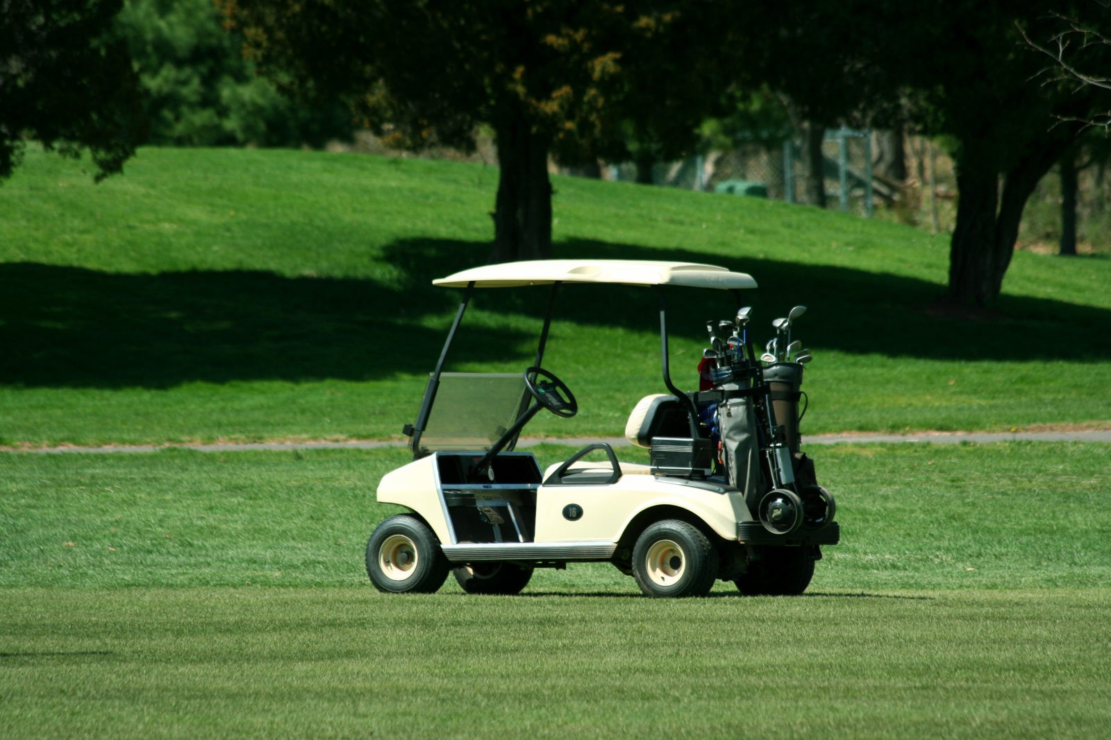 Five things you need to know about Florida's Golf Cart Laws