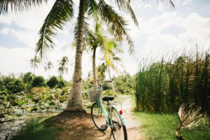 Florida Bicycle Accident Attorney